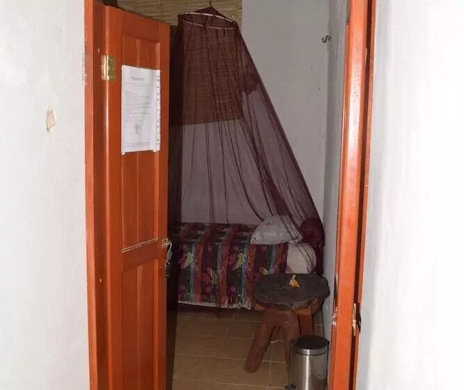 Camping Hostal El árbol De La Vida   Hostel