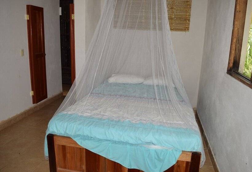 Camping Hostal El árbol De La Vida Hostel