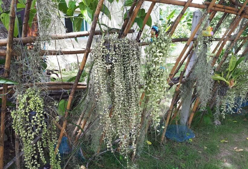 בית מלון כפרי Baansongkhata