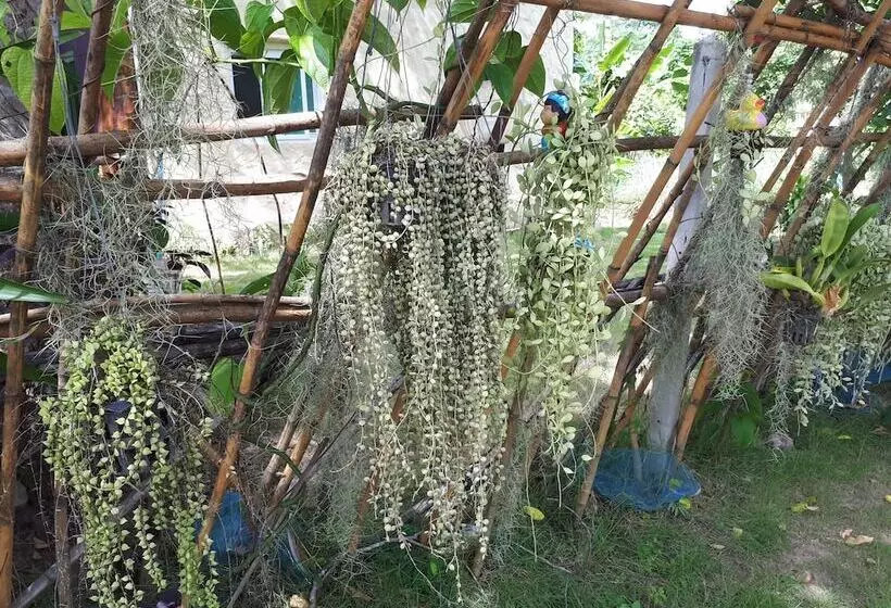 Hotelli Baansongkhata