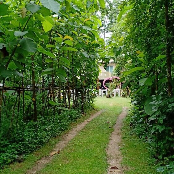 בית מלון כפרי Baansongkhata