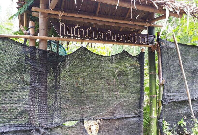 בית מלון כפרי Baansongkhata