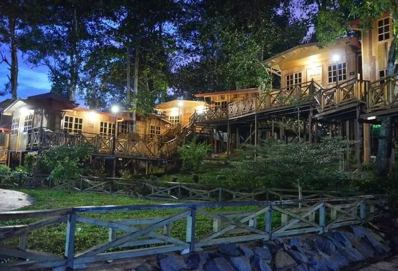 ホテル Borneo Tree House
