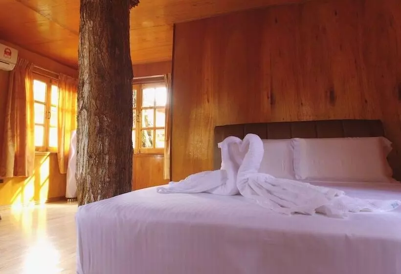 ホテル Borneo Tree House