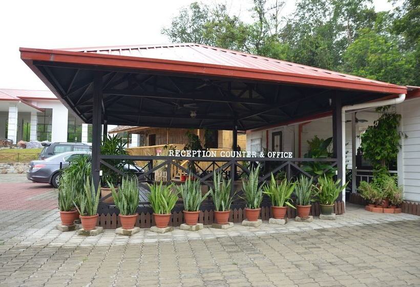 هتل Borneo Tree House