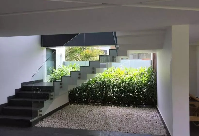 Hotel Calem Grove