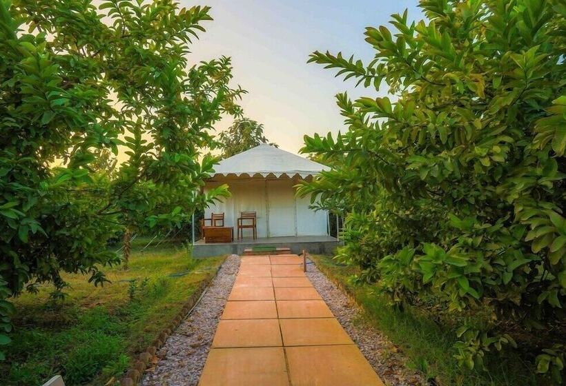 Отель Ranthambore Tiger Inn Comfort Resort