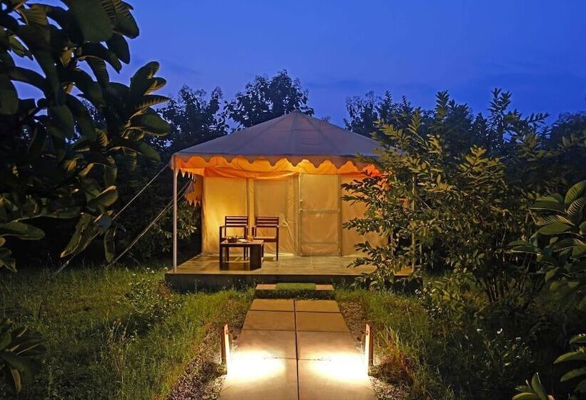 Отель Ranthambore Tiger Inn Comfort Resort