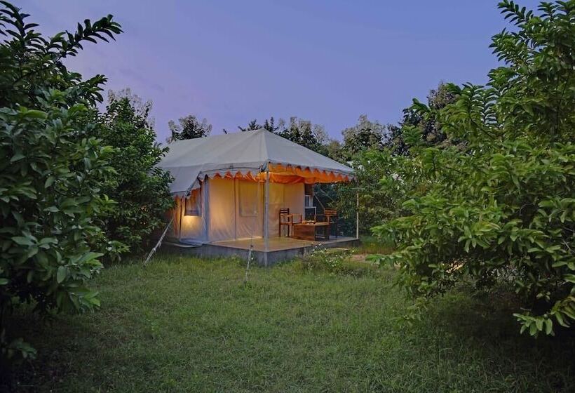 Отель Ranthambore Tiger Inn Comfort Resort