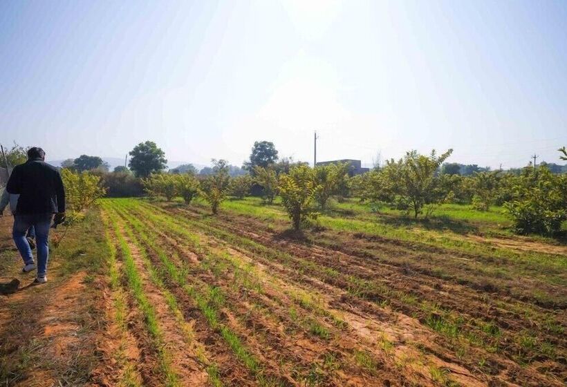 Отель Ranthambore Tiger Inn Comfort Resort