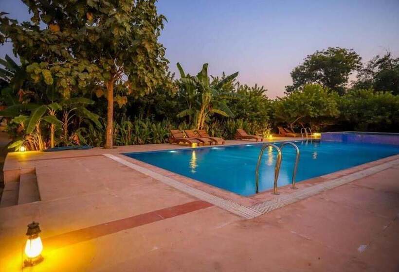 Отель Ranthambore Tiger Inn Comfort Resort