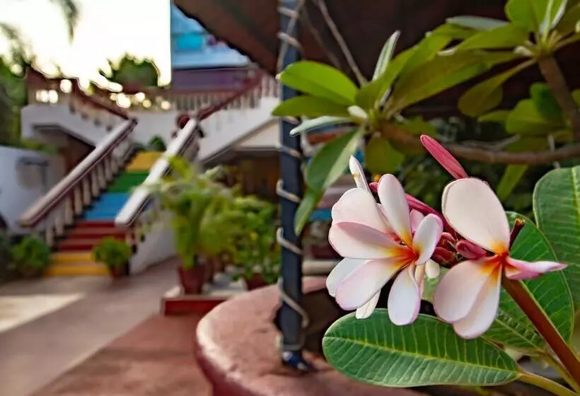 ホテル Viva Calangute