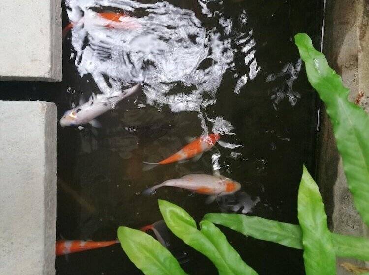 بنسيون Ao Apartment