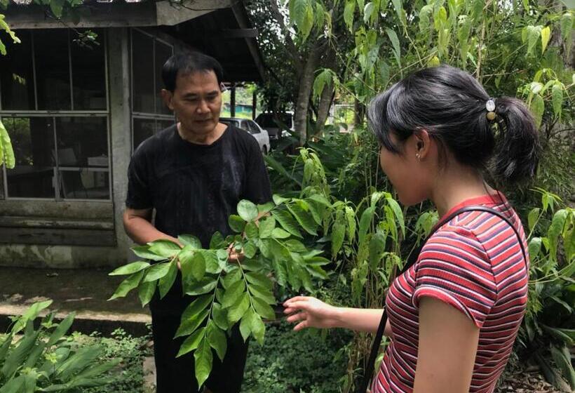 Majatalo Bann Rai Klai Weang Homestay