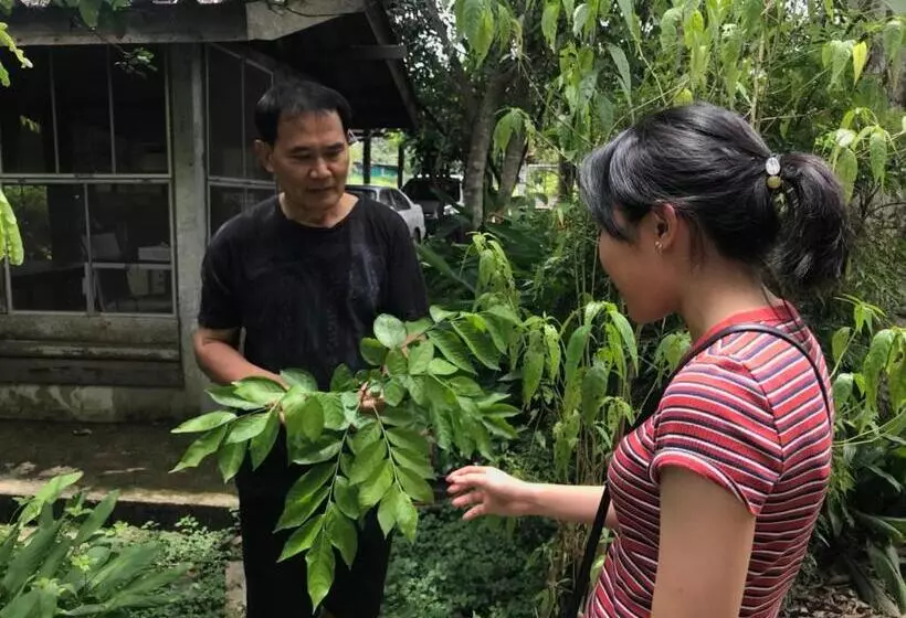 Majatalo Bann Rai Klai Weang Homestay