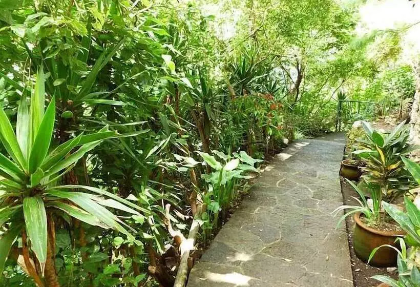 استراحتگاه Atitlan Oasis Eco Hotel And Spa Kaalpul