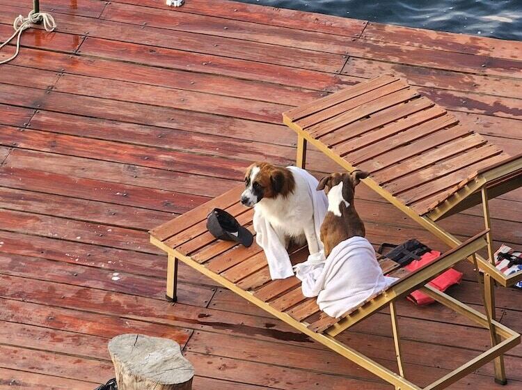 استراحتگاه Atitlan Oasis Eco Hotel And Spa Kaalpul