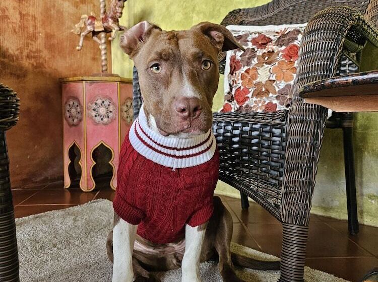 استراحتگاه Atitlan Oasis Eco Hotel And Spa Kaalpul