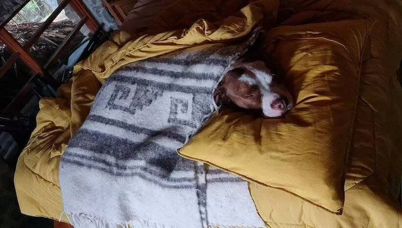 استراحتگاه Atitlan Oasis Eco Hotel And Spa Kaalpul