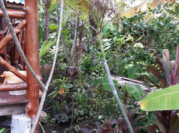 ホテル Sansuk Resort