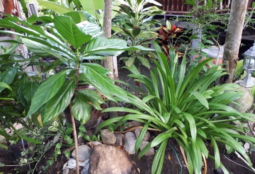 ホテル Sansuk Resort