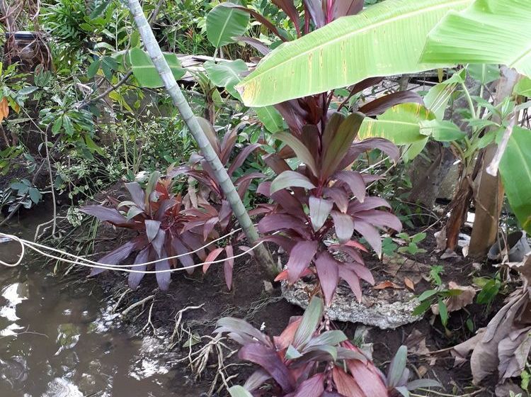 ホテル Sansuk Resort