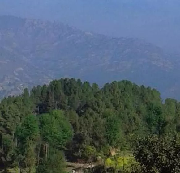هتل Tashidelek Guest Lodge & House
