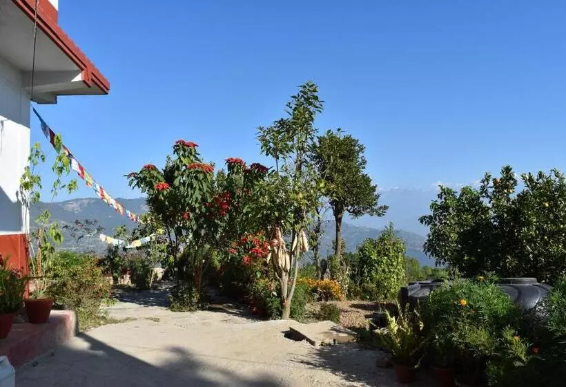 هتل Tashidelek Guest Lodge & House