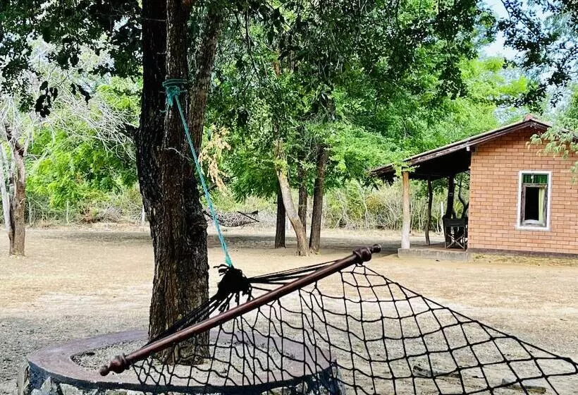 Retkeilymaja Funky Leopard Safari Lodge Bordering Yala National Park