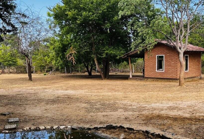 Schronisko Funky Leopard Safari Lodge Bordering Yala National Park