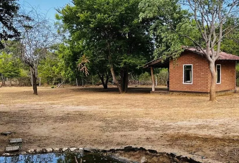 Retkeilymaja Funky Leopard Safari Lodge Bordering Yala National Park