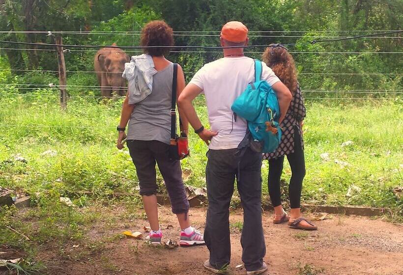 Greenwood Udawalawa Safari Resort
