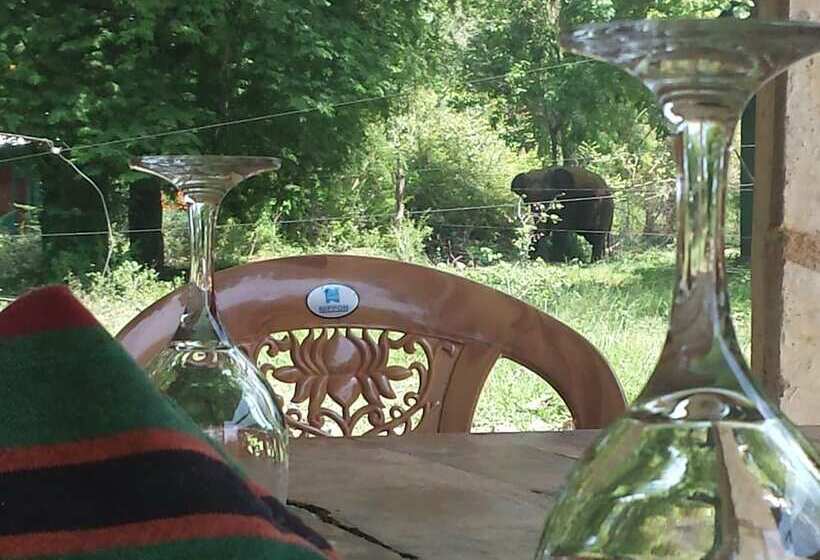 Greenwood Udawalawa Safari Resort