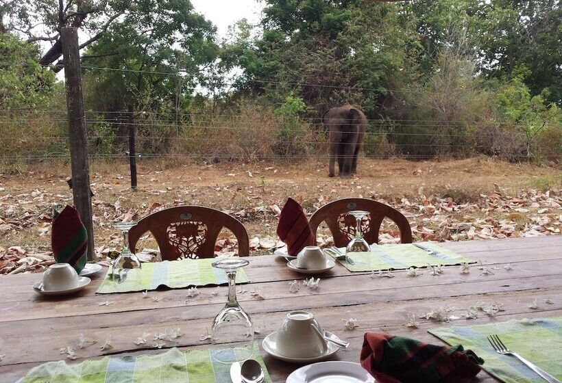 Greenwood Udawalawa Safari Resort