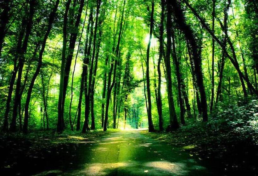 בית מלון כפרי Château Des Forgets