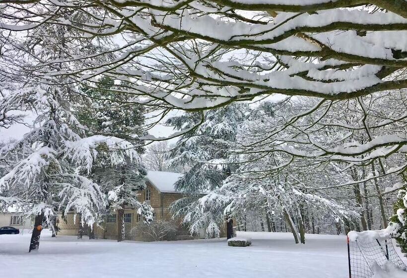 בית מלון כפרי Château Des Forgets