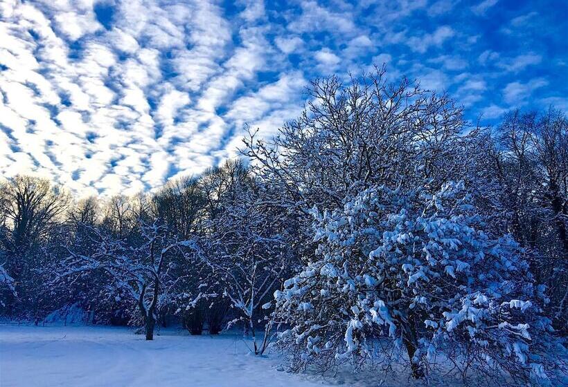 בית מלון כפרי Château Des Forgets