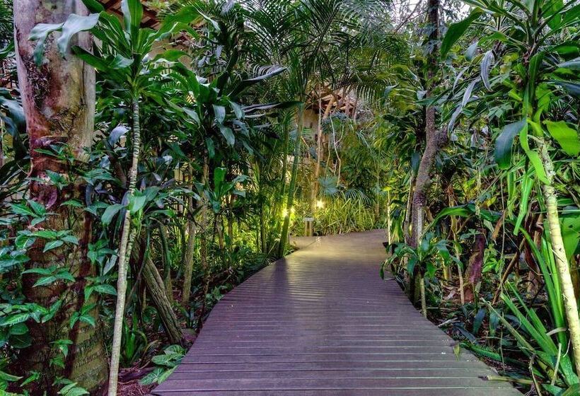 בית מלון כפרי Forest Villa S