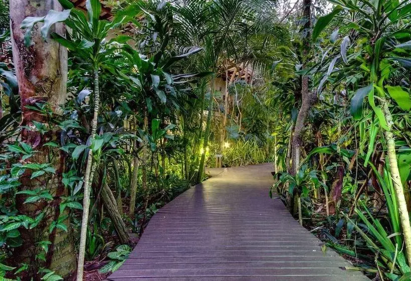 هتل Forest Villa S