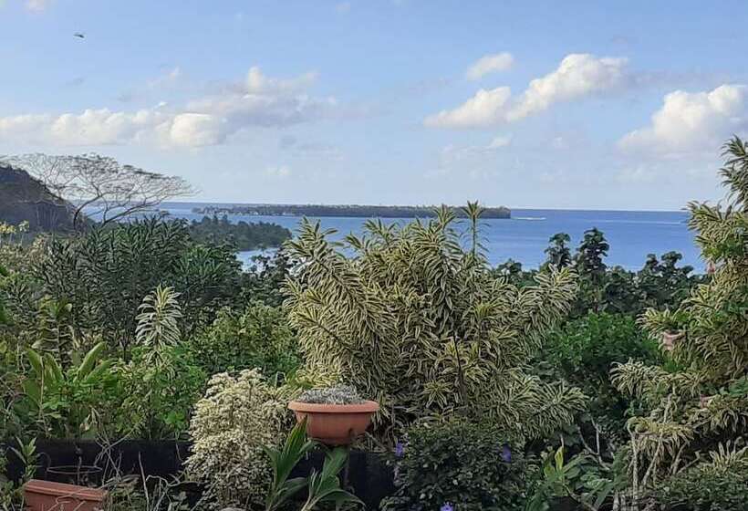 هتل Pension Te Maeva