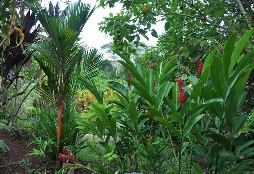 هتل Pension Te Maeva