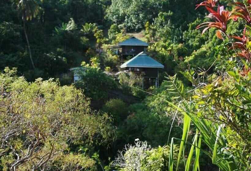 هتل Pension Te Maeva