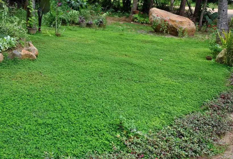 هتل Saparo Resort