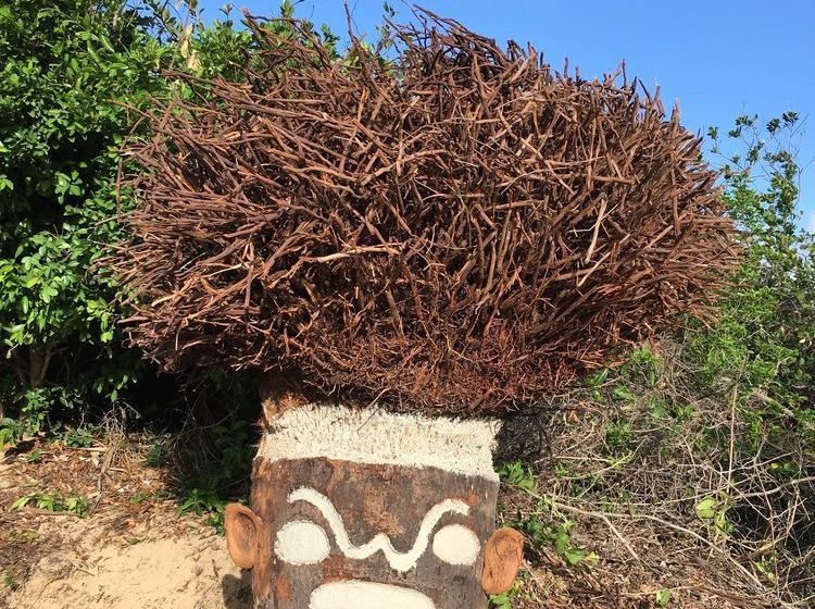 ホテル Vista Bonita