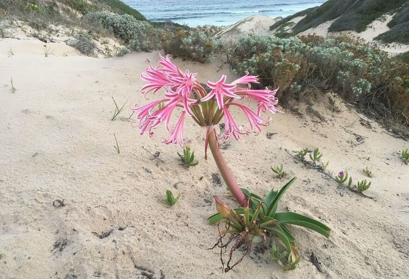 ホテル Vista Bonita