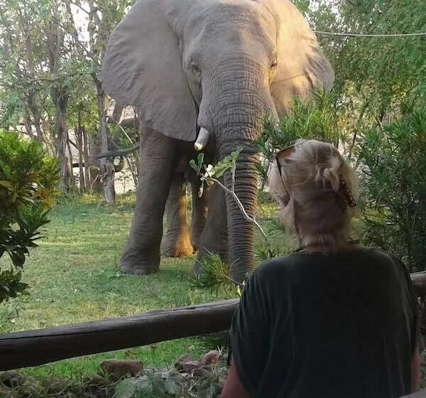 Hotelli Warthogs Safari Camp