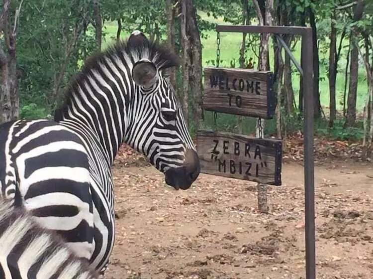 Hotelli Warthogs Safari Camp
