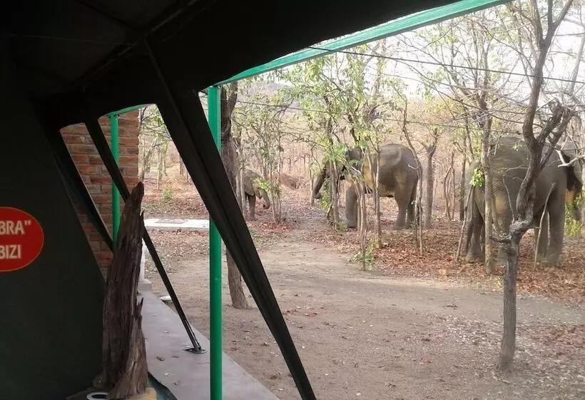 Hotelli Warthogs Safari Camp