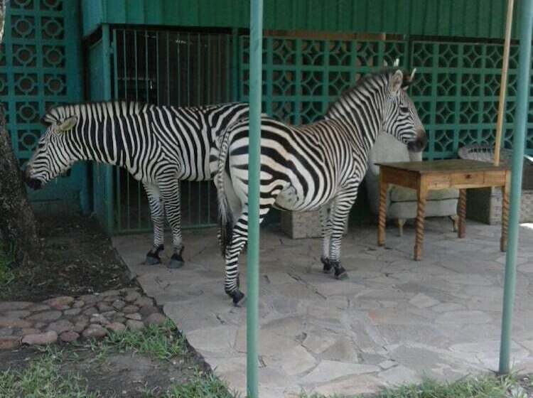 هتل Warthogs Safari Camp