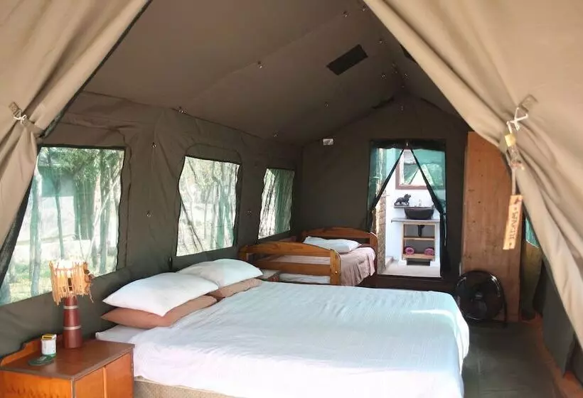 Hotelli Warthogs Safari Camp